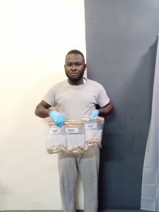  Wanted drug dealer attempting to export 69.65kg of illicit drugs to the UK caught at a Church in Lagos