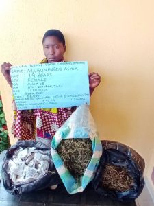 Latest news about NDLEA confiscating illicit drugs