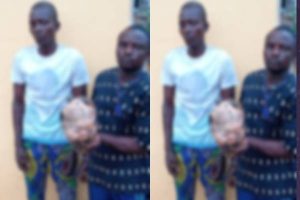 Two suspected ritualists arrested with fresh human head