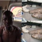 No pupil turned to tubers of yam in Oyo - Commissioner for Education