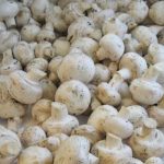 Mushroom farmers, traders seek inclusion in Anchor Borrowers Scheme