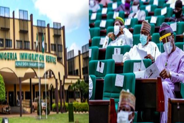 Reps tackle NIS over engagement of consultants to handle visa, passports processes at nation’s foreign mission