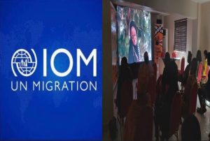 IOM calls for safe, orderly migration for economic development