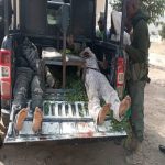 OPolice kill two bandits in Zamfara