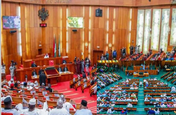 Reps, Senate harmonise Electoral Act Amendment Bill