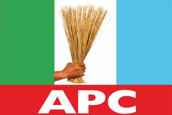 APC wins Ngor Okpala by-election in Imo State