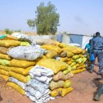 Nigeria Customs, Kebbi Area Command, Destroys N42 Million Worth Of Donkey Meat