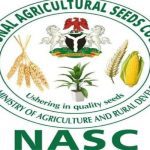 NASC confiscates vegetable seeds for non compliance in Nasarawa