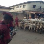 Amotekun, soldiers clash over seized cows in Ondo as normalcy returns