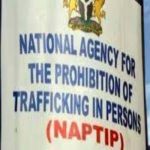 Dubai now destination of choice for Nigerian human traffickers-NAPIP