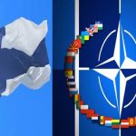 Finland to decide NATO membership application on May 12