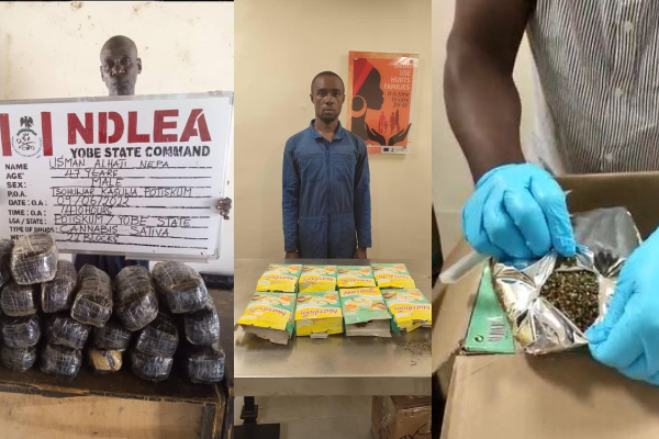 NDLEA seizes US, Dubai-bound drugs at MMIA, arrests 39 in Abuja raids