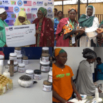 Groups train Kaduna women on skills acquisition