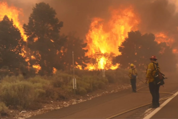 Wildfire in Wrightwood, California explodes to 775 acres