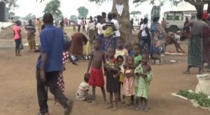 FG to address Humanitarian crisis in Benue