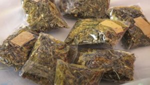  Ogun NDLEA arrests 99 suspects, seizes over 82,000 illicit substances