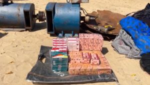  Police arrests 87 suspects for various crimes in Borno