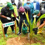 Lagos set for annual tree planting day celebration