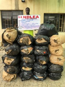 NDLEA arrests 8 persons in cocaine busts at Lagos, Abuja, Enugu airports