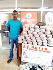  NDLEA intercepts 2.7m tramadol tablets worth over N1.2bn at Apapa port