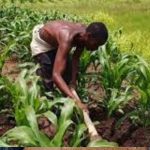 Abductors demand N100 Million to free Akala's Farm Supervisor