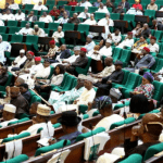 Reps summon finance minister, power, BPE, others over planned sale of power plants
