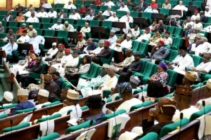 Reps summon finance minister, power, BPE, others over planned sale of power plants