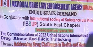 NDLEA marks UN drg abuse and trafficking day in Enugu