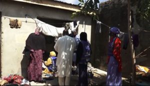  Borno govt, WHO embark on sensitisation following outbreak of Monkeypox