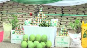  Gov Ortom distributes improved seedlings to LGs