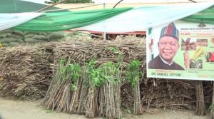  Gov Ortom distributes improved seedlings to LGs