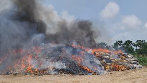 NDLEA destroys over 560,068kg of illicit drugs in landmark exercise in Lagos