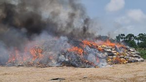  NDLEA destroys over 560,068kg of illicit drugs in landmark exercise in Lagos