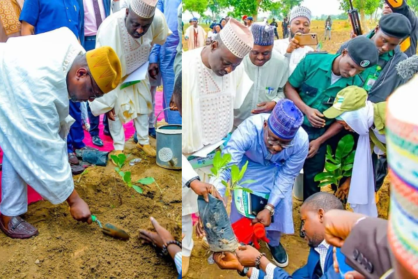 Gov Bello flags off Shea tree planting project for economic transformation
