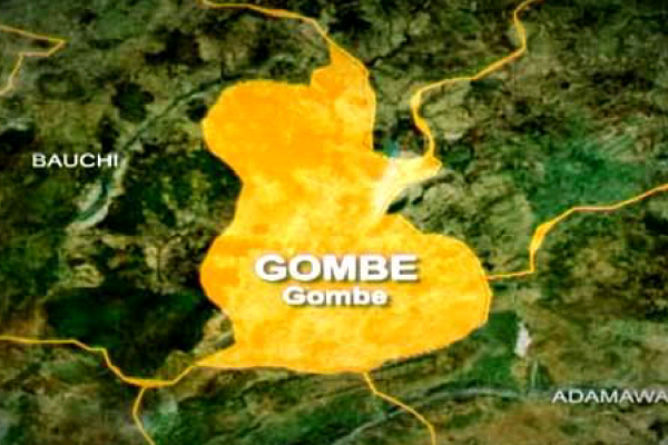 Gombe activates IMS to curtail spread of Monkeypox
