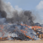 NDLEA destroys over 560,068kg of illicit drugs in landmark exercise in Lagos