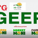 FG begins enumeration of GEEP beneficiaries in Imo State