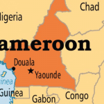 Cameroon seeks AIB-N support on aircraft accident investigation