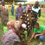 Foundation flags off aforestation, climate change initiative in Ekiti
