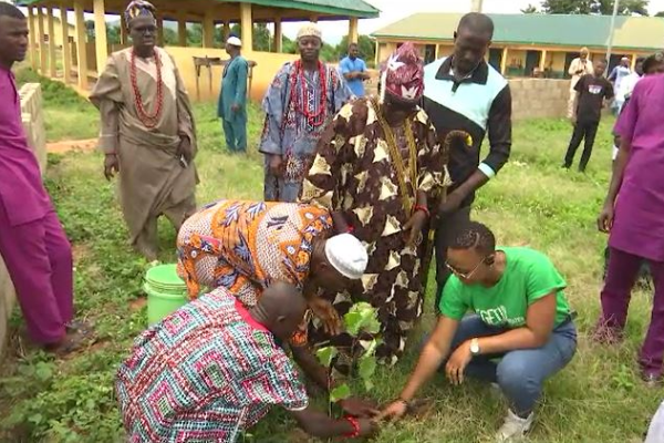 Foundation flags off 5,000 tree planting initiative in Ekiti