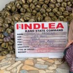 NDLEA UNCOVERS 442 PARCELS OF CRYSTAL METH IN SMOKED FISH HEADS