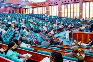 Reps commitee summon AGF over fuel subsidy between 2013, 2022