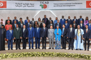Japan Pledges $30 Billion In African Aid at TICAD summit
