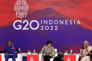 G20 environment ministers in Indonesia for talks on climate action
