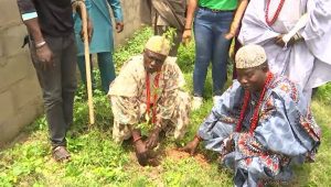  Foundation flags off aforestation, climate change initiative in Ekiti