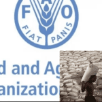 FAO to mitigate looming food crisis in northeast