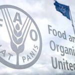 FAO, NCC present revised national codex for standard food