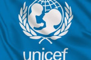 Imo, Ekiti with lowest number of out-of-school children-UNICEF