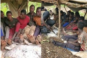 10 HOSTAGES IN CHAINS FREED AS TROOPS RAID, DESTROY BANDITS CAMPS KADUNA