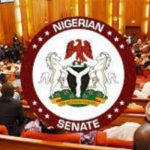 2023 Budget : Senate Kicks against N6trillion tax , import duties waivers
